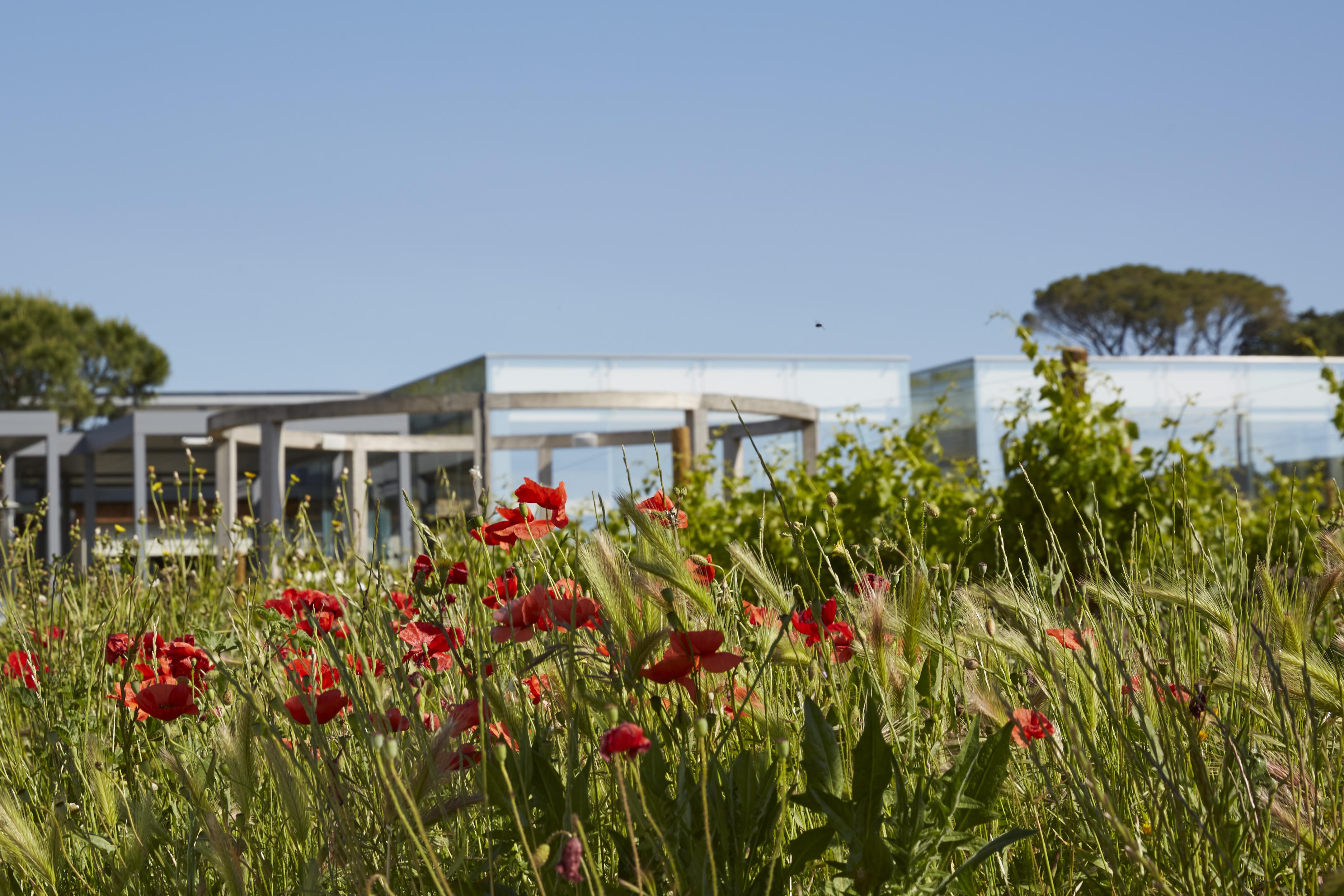 Domaine De Verchant & Spa - Relais & Chateaux Castelnau-le-Lez Luaran gambar